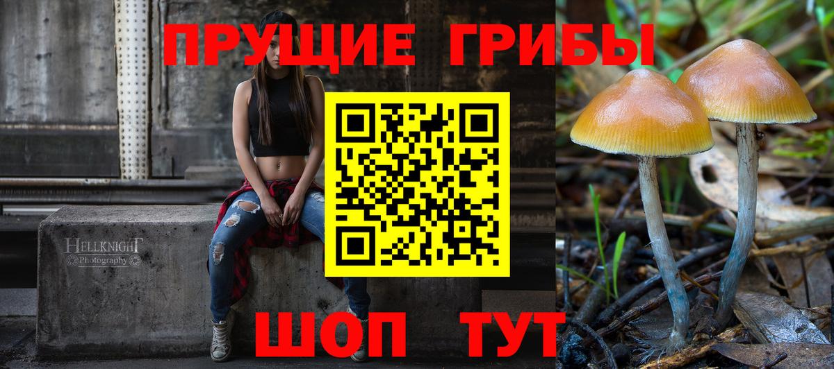 Галлюциногенные грибы мухоморы  Псилоцибиновые грибы Psilocybine cubensis  Петровск  Вход с VPN 